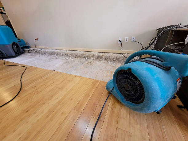 Professional Sewage Cleanup technician working in Gulfport, MS